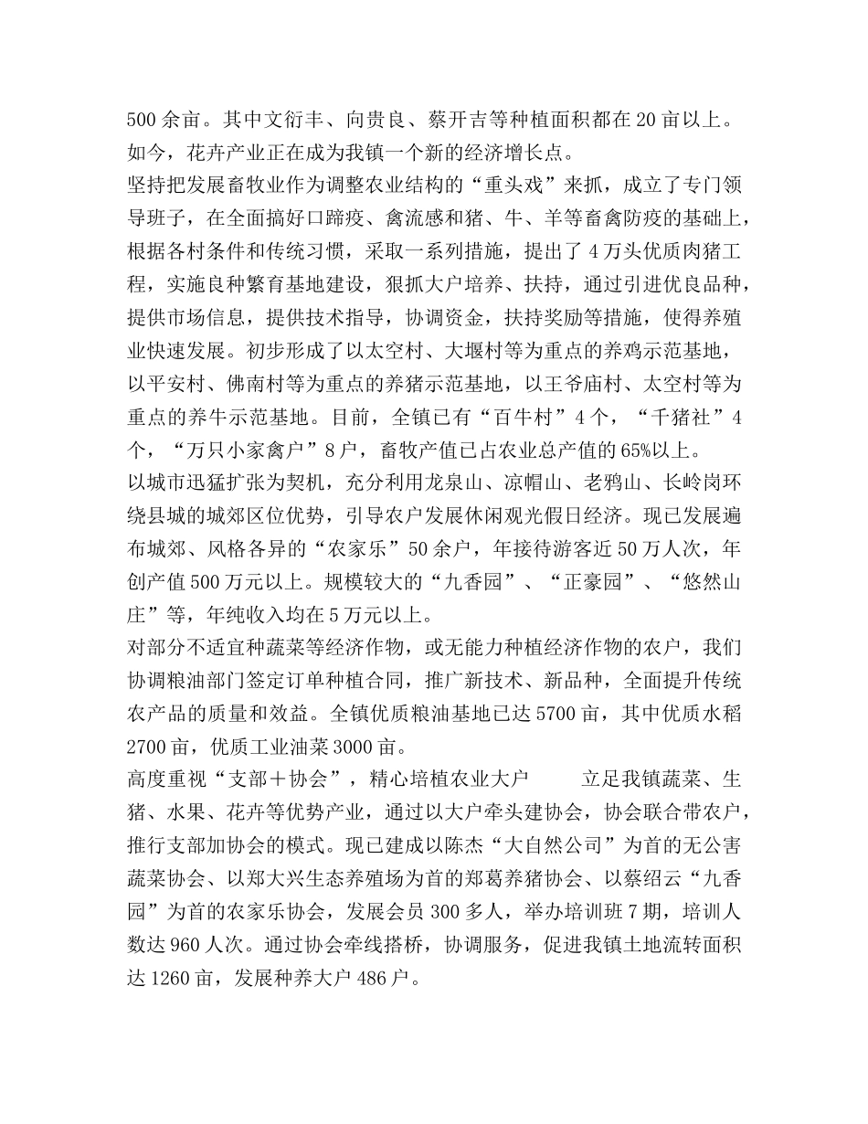 镇政府二OO四年度工作总结 _第2页