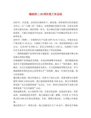 镇政府二OO四年度工作总结 