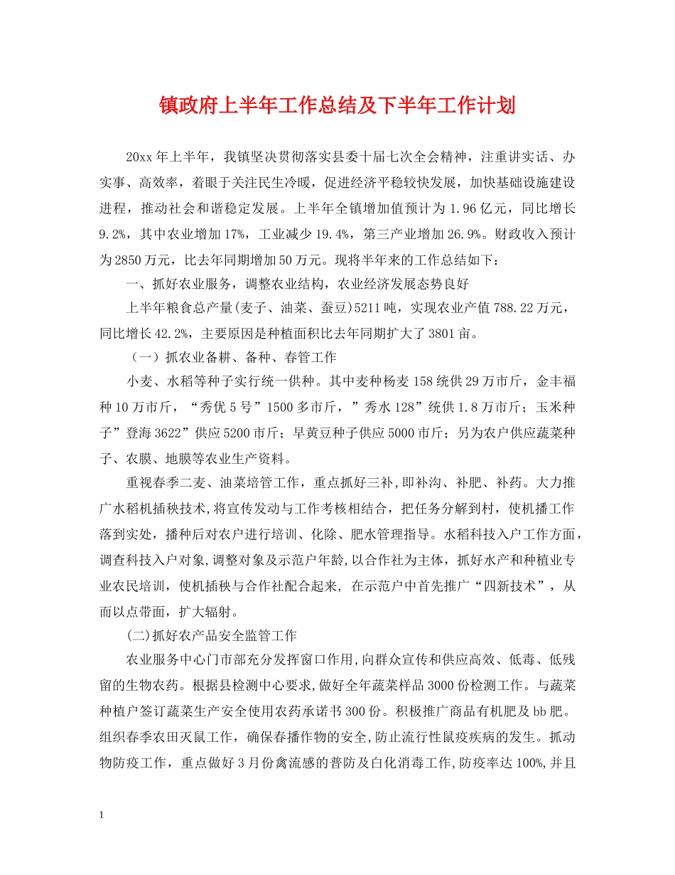 镇政府上半年工作总结及下半年工作计划 _第1页