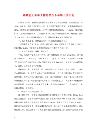 镇政府上半年工作总结及下半年工作计划 