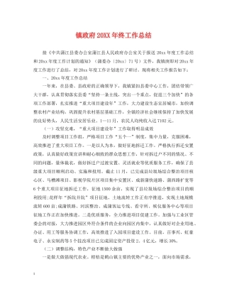 镇政府20XX年终工作总结 