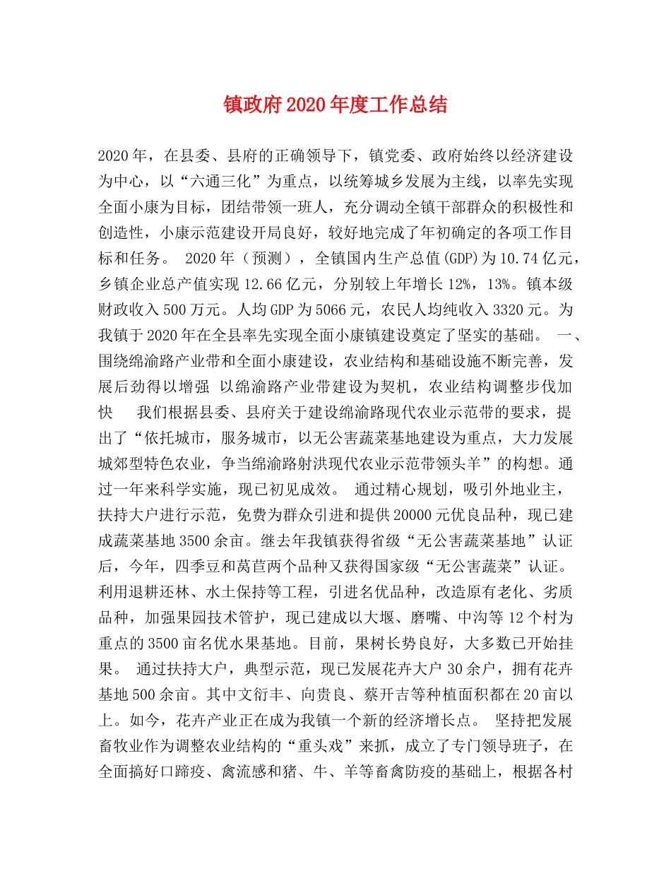 镇政府2020年度工作总结 _第1页