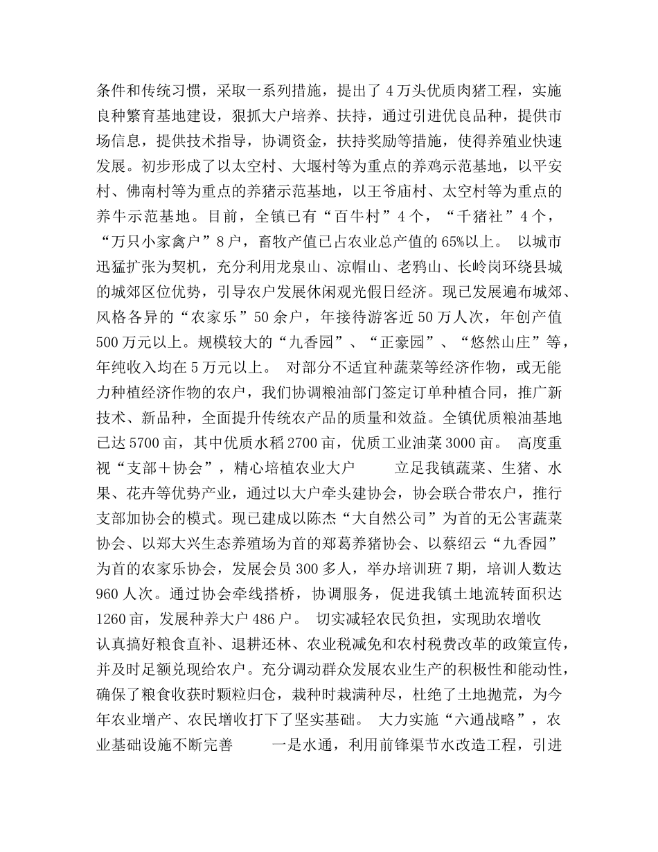 镇政府2020年度工作总结 _第2页