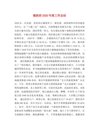 镇政府2020年度工作总结 
