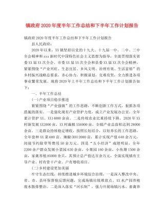 镇政府2020年度半年工作总结和下半年工作计划报告 
