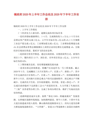 镇政府2020年上半年工作总结及2020年下半年工作安排 (2) 