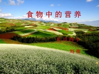 教科版小学科学四年级下册《食物中的营养》课件(2)