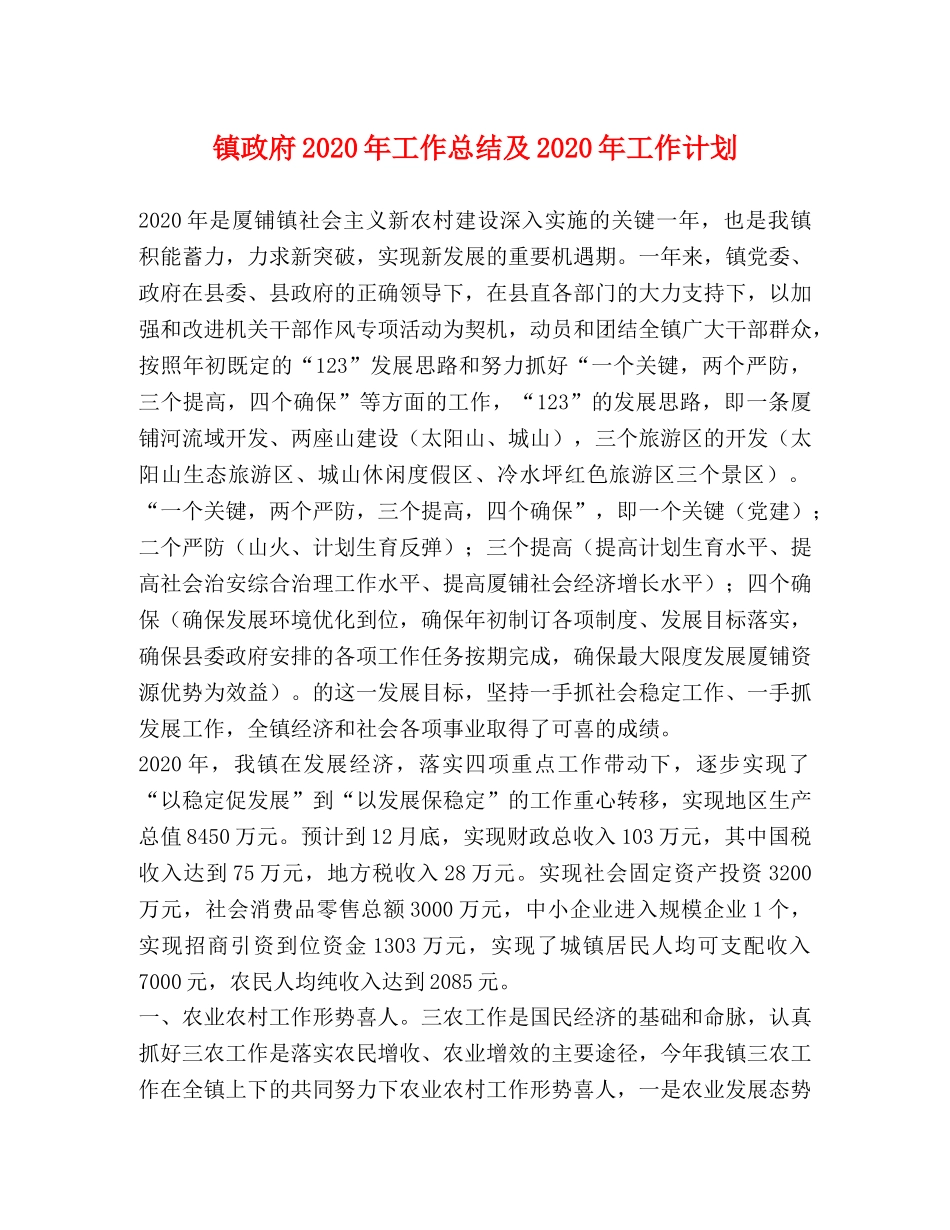 镇政府2020年工作总结及2020年工作计划 _第1页