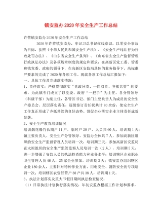 镇安监办2020年安全生产工作总结 
