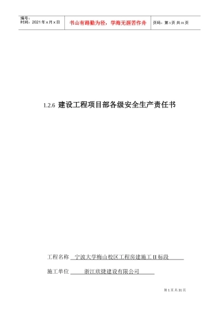 建设工程项目部各级安全生产责任书(DOC37页)
