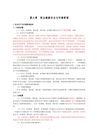 6职业健康安全环境管理1010修改