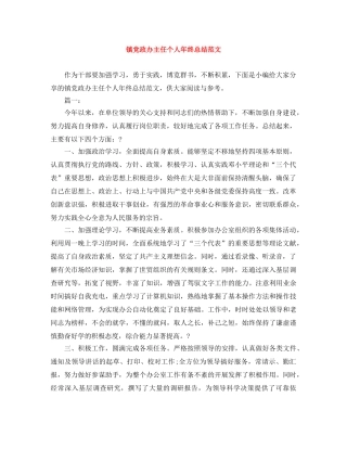 镇党政办主任个人年终总结范文 