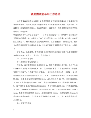 镇党委政府半年工作总结 