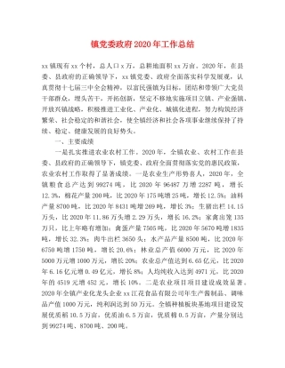 镇党委政府2020年工作总结 