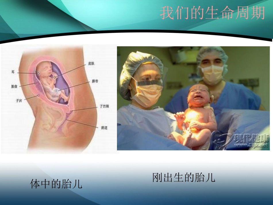 我们的生命周期_第3页