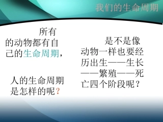 我们的生命周期