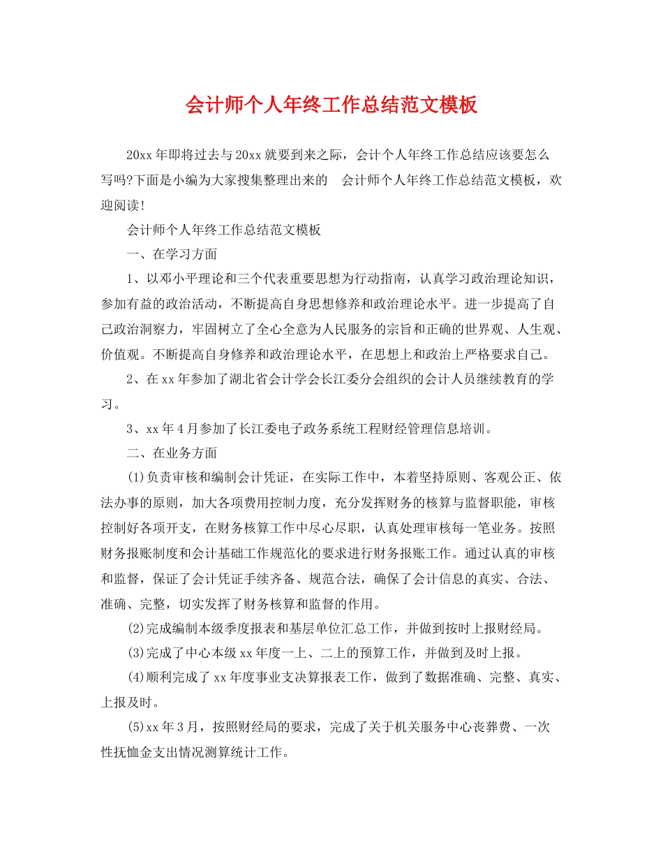 会计师个人年终工作总结范文模板 _第1页