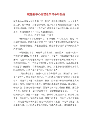 镇党委中心组理论学习半年总结 