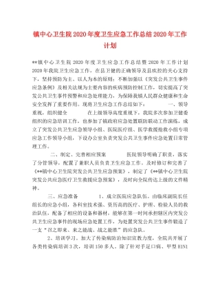 镇中心卫生院2020年度卫生应急工作总结2020年工作计划 