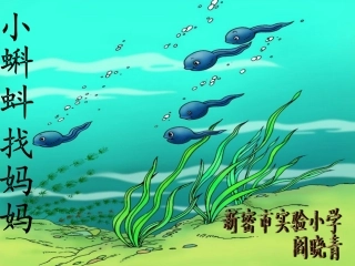 小蝌蚪找妈妈