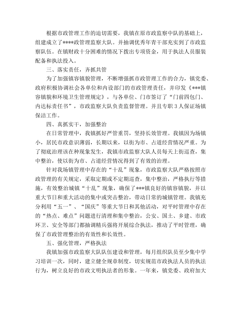 镇2020年度市政管理工作总结 _第2页