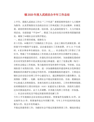 镇2020年度人武政法办半年工作总结 