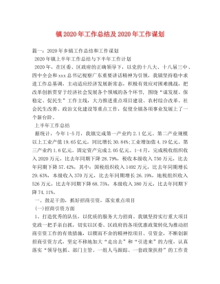 镇2020年工作总结及2020年工作谋划 