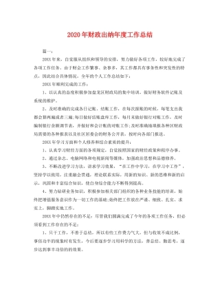 2020年财政出纳年度工作总结 