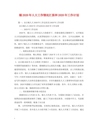 镇2020年人大工作情况汇报和2020年工作计划 