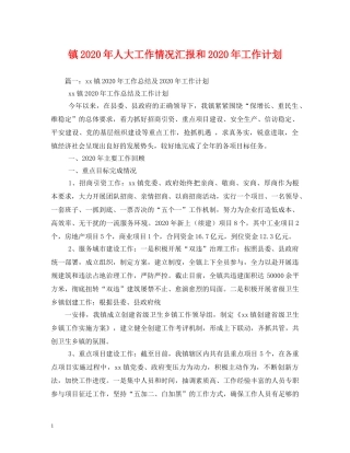 镇2020年人大工作情况汇报和2020年工作计划(1) 