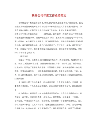 软件公司年度工作总结范文 