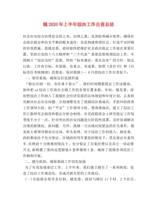 镇2020年上半年综治工作自查总结 