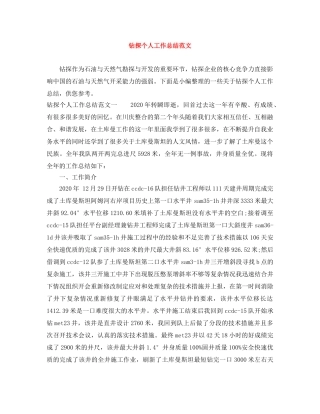 钻探个人工作总结范文 