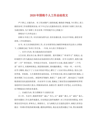 2020年国税个人工作总结范文 