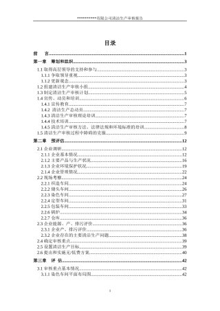 袜子清洁生产审核报告