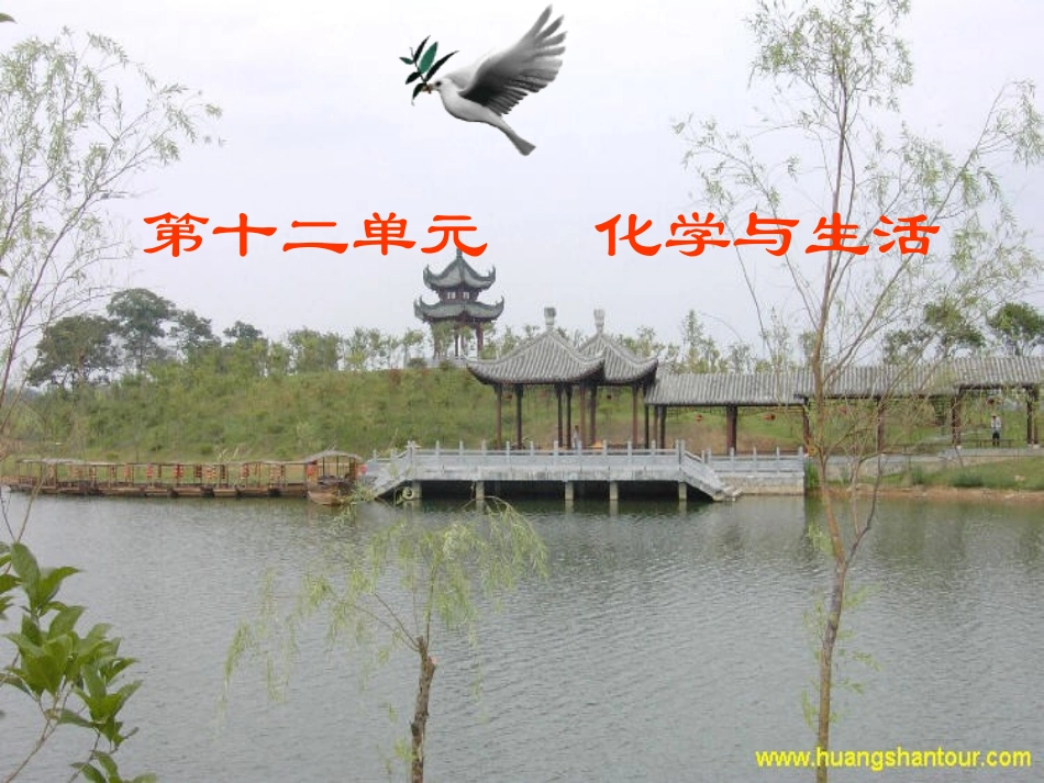 课题1人类重要的营养物质 (2)_第2页