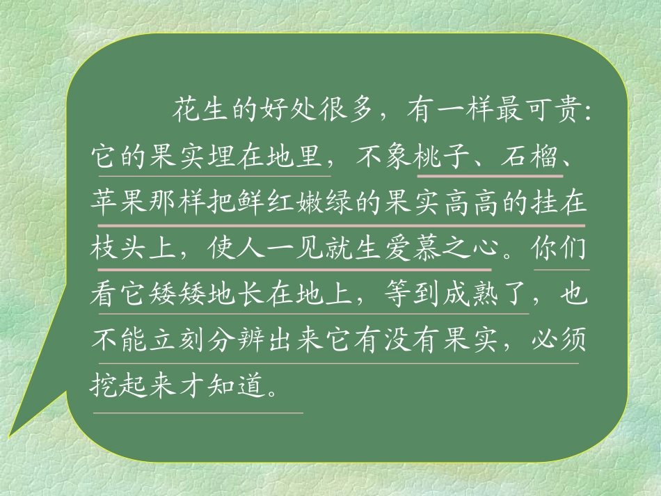 落花生(1)_第3页