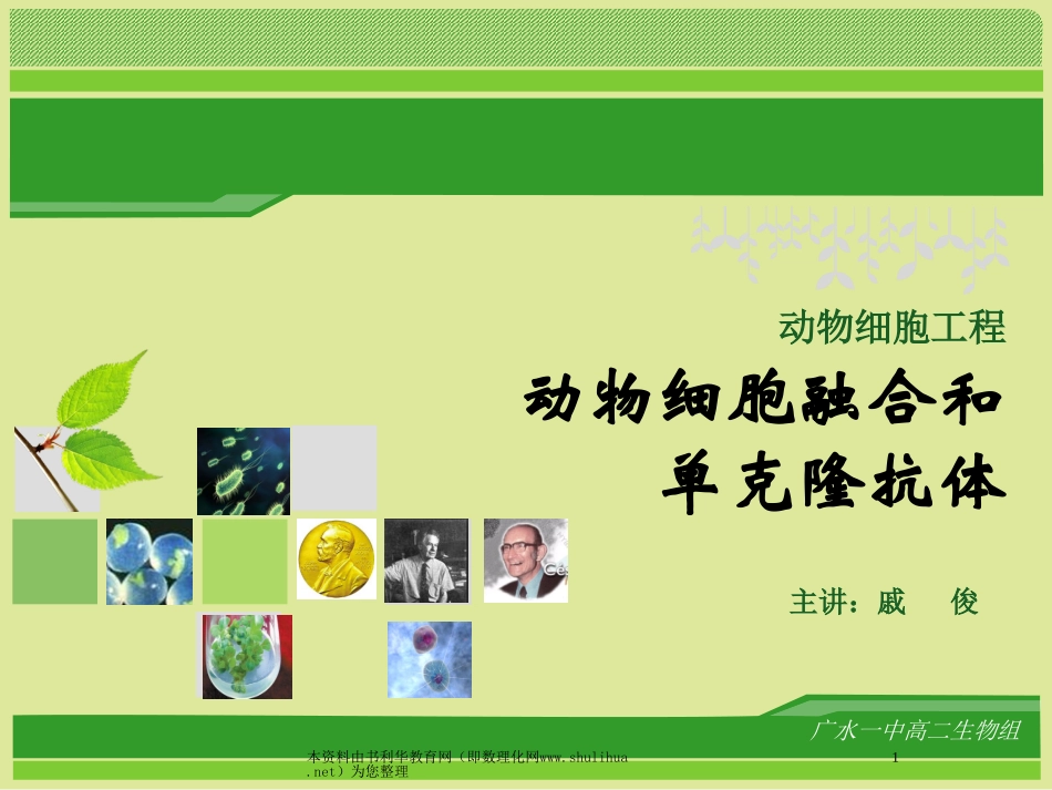 动物细胞融合和单克隆抗体课件_第1页