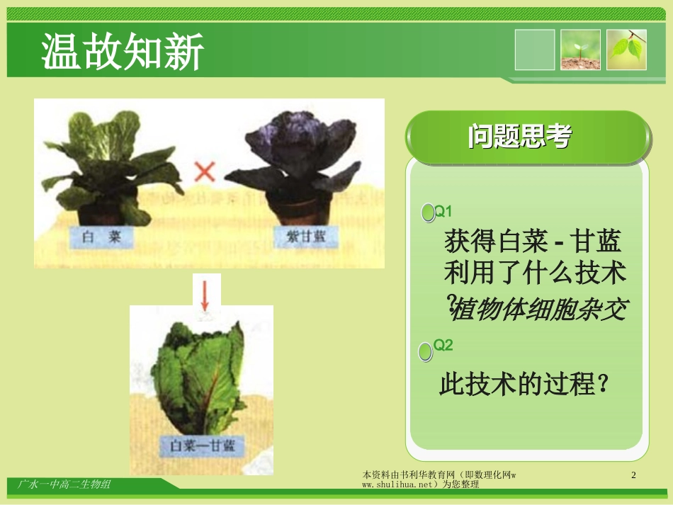 动物细胞融合和单克隆抗体课件_第2页