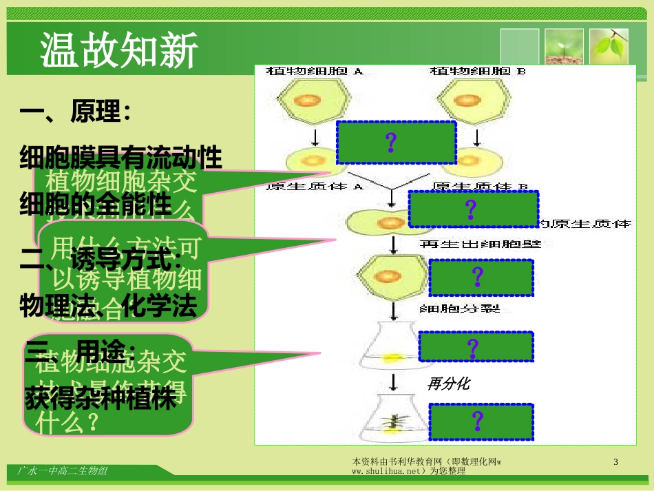 动物细胞融合和单克隆抗体课件_第3页