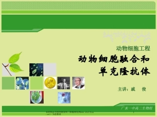 动物细胞融合和单克隆抗体课件