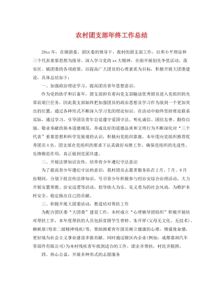 农村团支部年终工作总结 