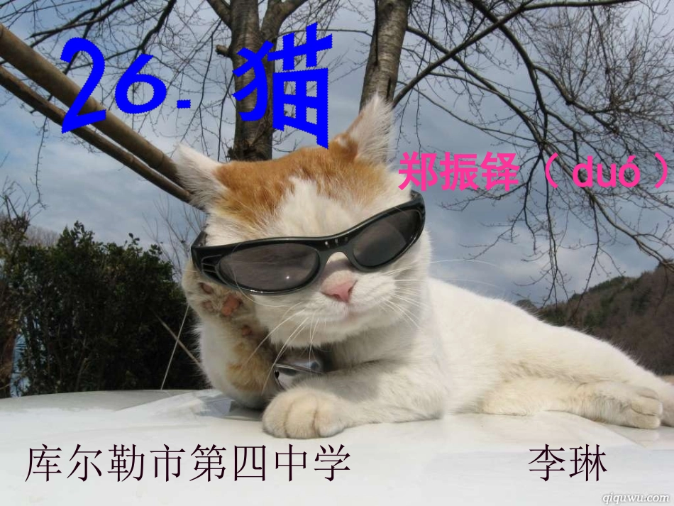 库尔勒市第四中学李琳微课《猫》_第3页