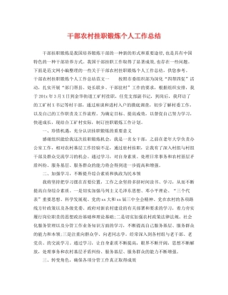 干部农村挂职锻炼个人工作总结 