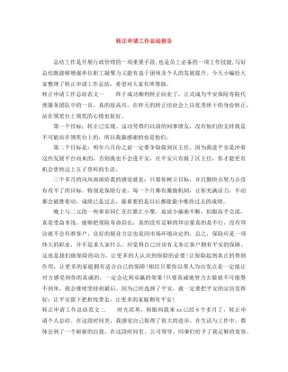 转正申请工作总结报告 