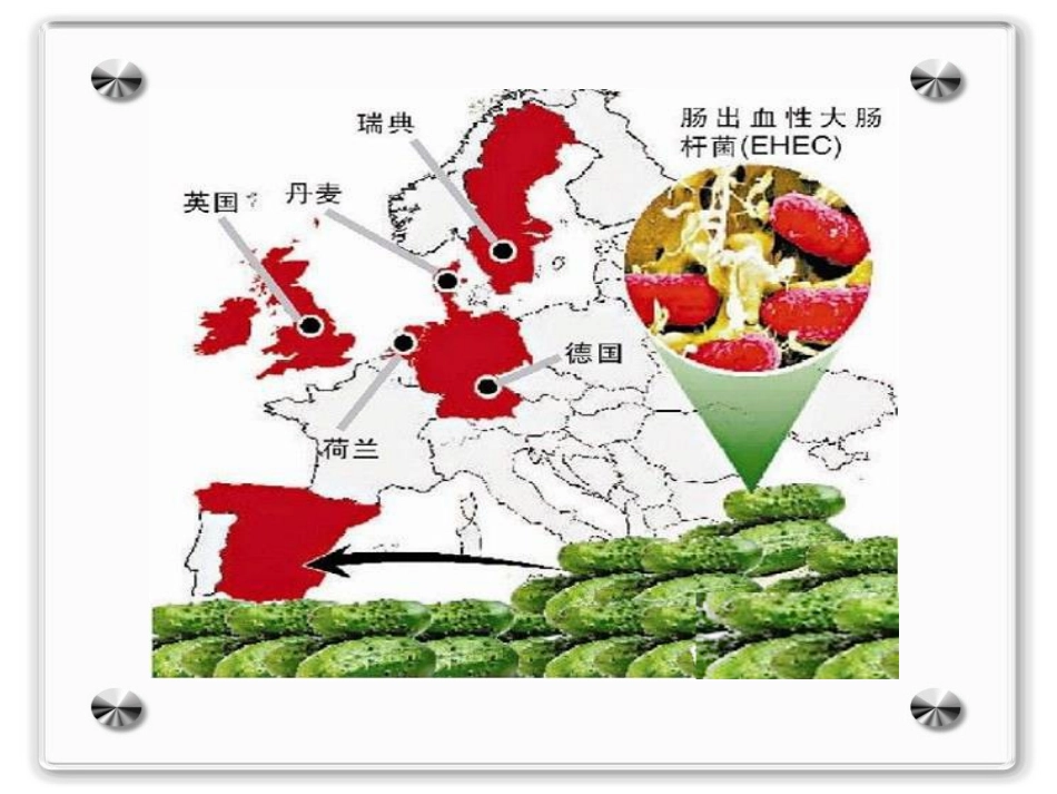 世界经济的全球化[课件]_(5)_第3页