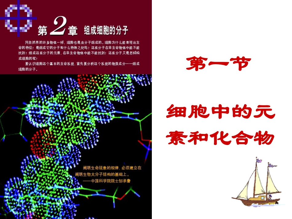 细胞中的元素和化合物_第1页