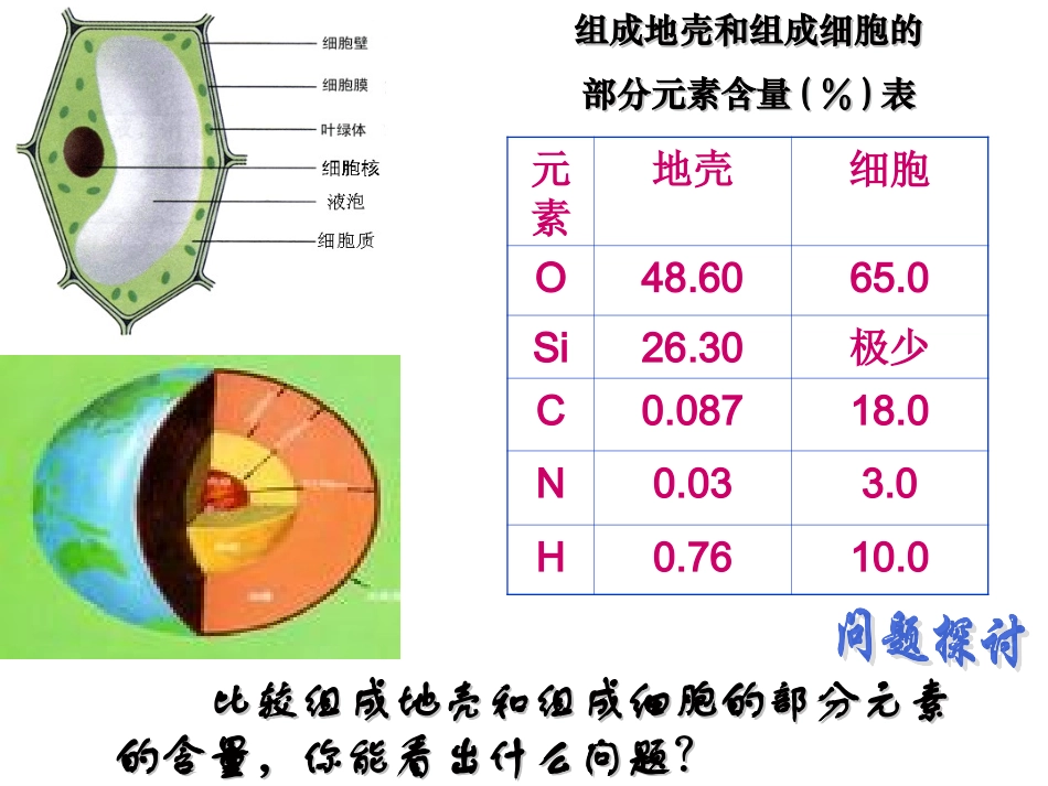 细胞中的元素和化合物_第3页