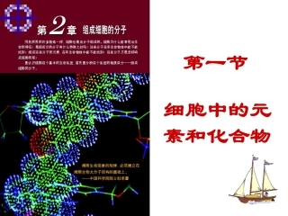 细胞中的元素和化合物