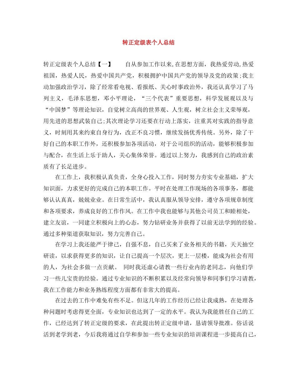 转正定级表个人总结 _第1页